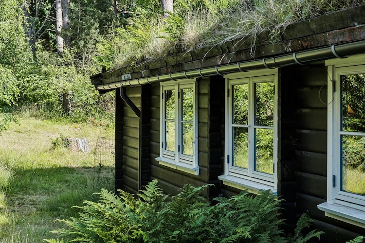 anholt2520summer2520cabin97