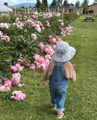 Peonies in the Kitchen + An Adventure to a Peony Farm!