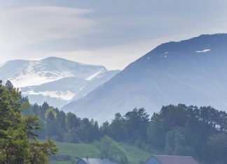 The Ultimate Scandinavian Summer Round-Up