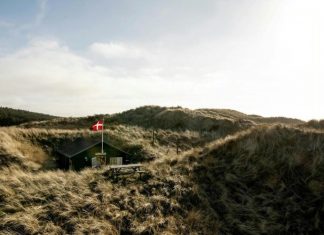 A Cosy Danish Beach House Reatreat in the Dunes