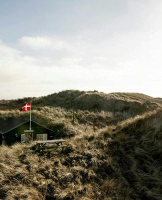 A Cosy Danish Beach House Reatreat in the Dunes